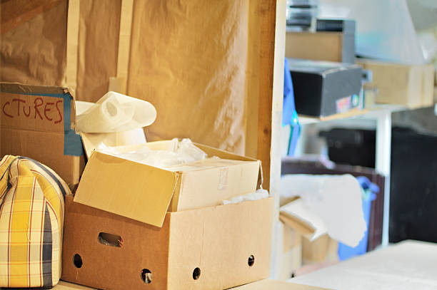 Best Dumpster Rental Services  in Takoma Park, MD